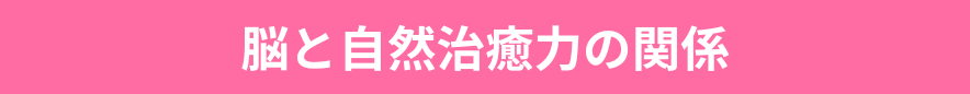 脳と自然治癒力の関係